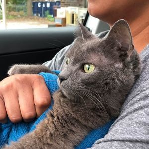 Meet your Posher, Dawn beers